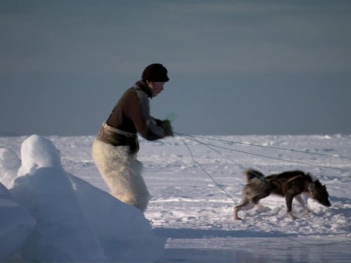 PlanÃ¨te des hommes: Arctic: Life in the Deep Freeze | Season 1 | Episode 3