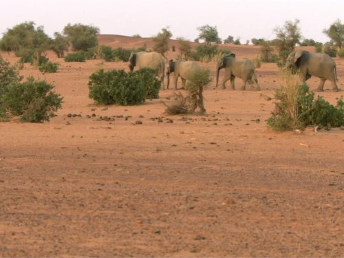 PlanÃ¨te des hommes: Deserts: Life in the Furnace | Season 1 | Episode 2