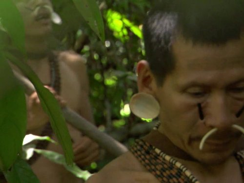 PlanÃ¨te des hommes: Jungles: People of the Trees | Season 1 | Episode 4