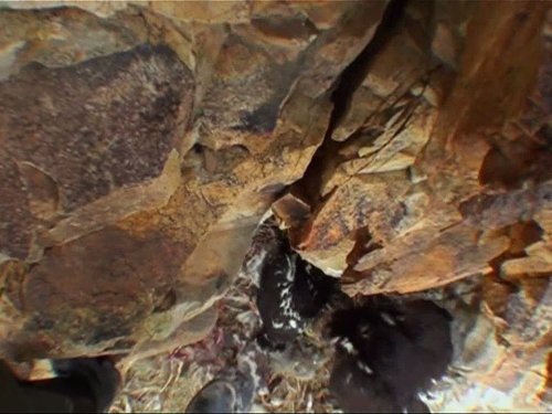 Planète des hommes: Mountains: Life in Thin Air | Season 1 | Episode 5