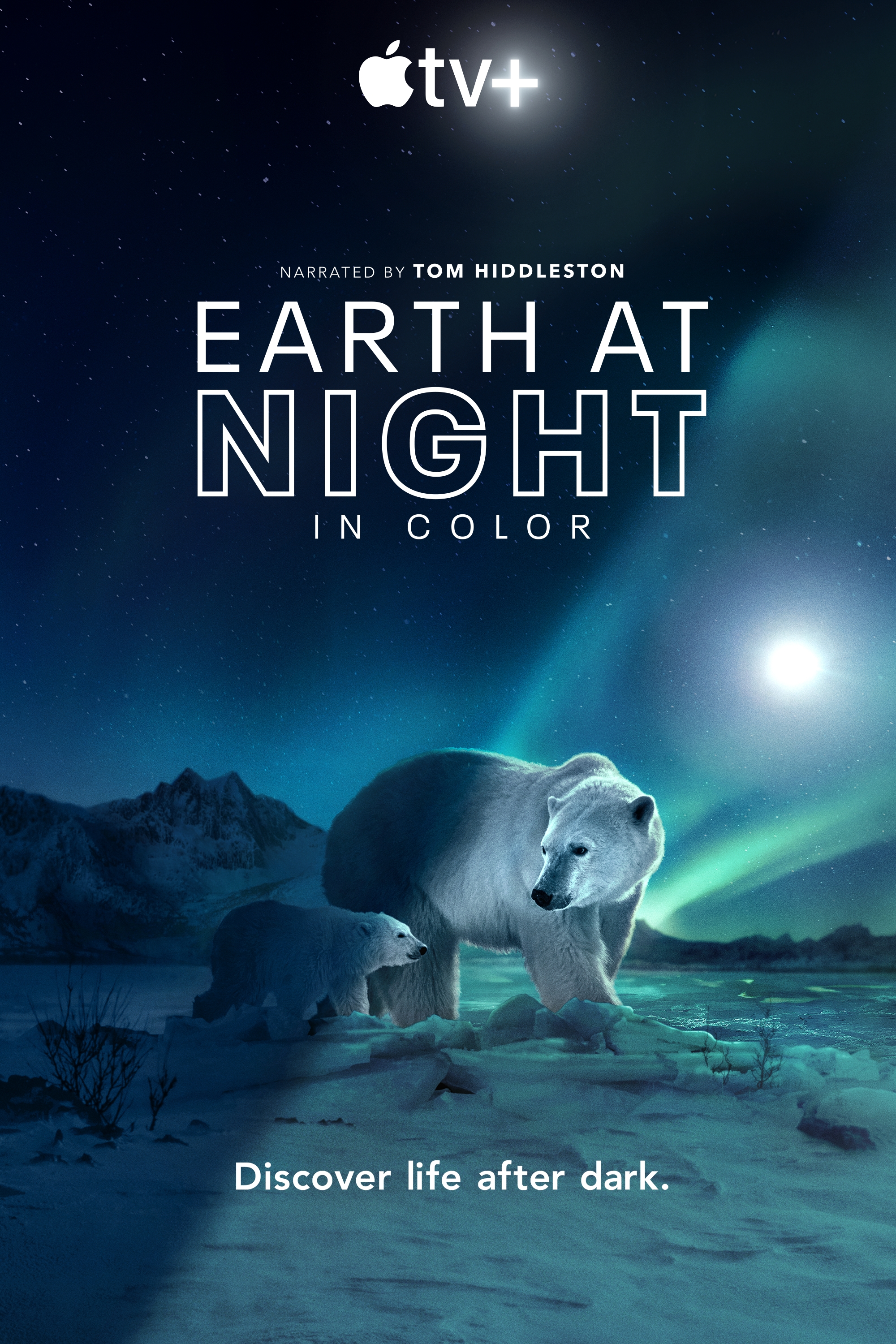 Earth at Night in Color (S02)